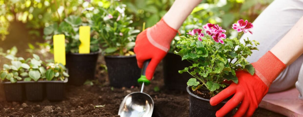 vetements-jardin-jardinage-gants-fleurs-1270×812